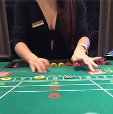 pak365 game